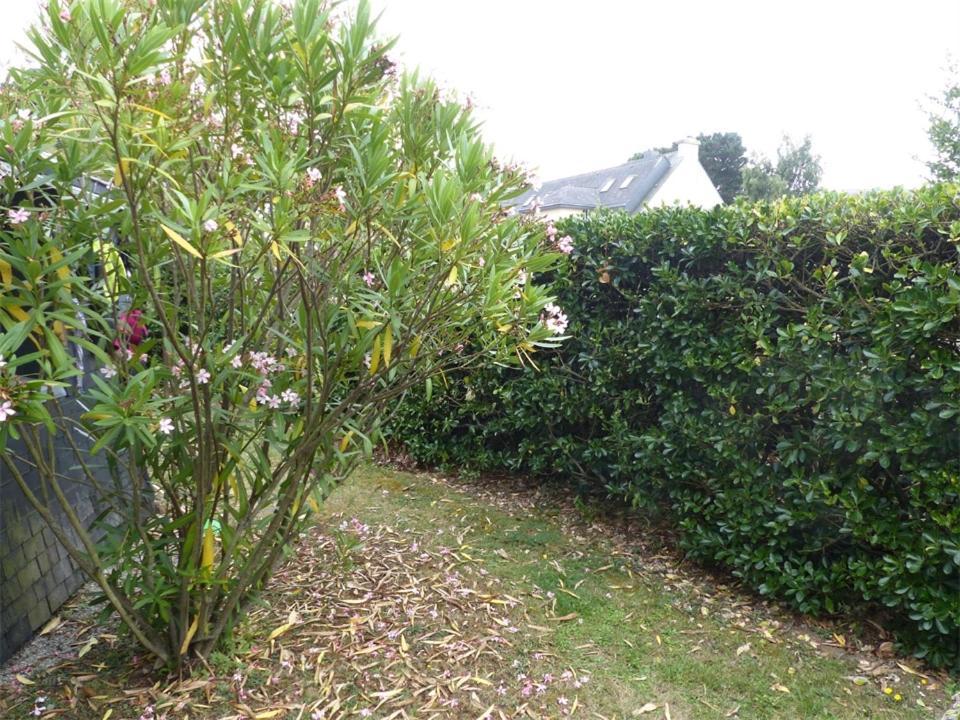 Port An Dro 1 - Wifi, Jardin, Plage 200M - K295 卡纳克 外观 照片